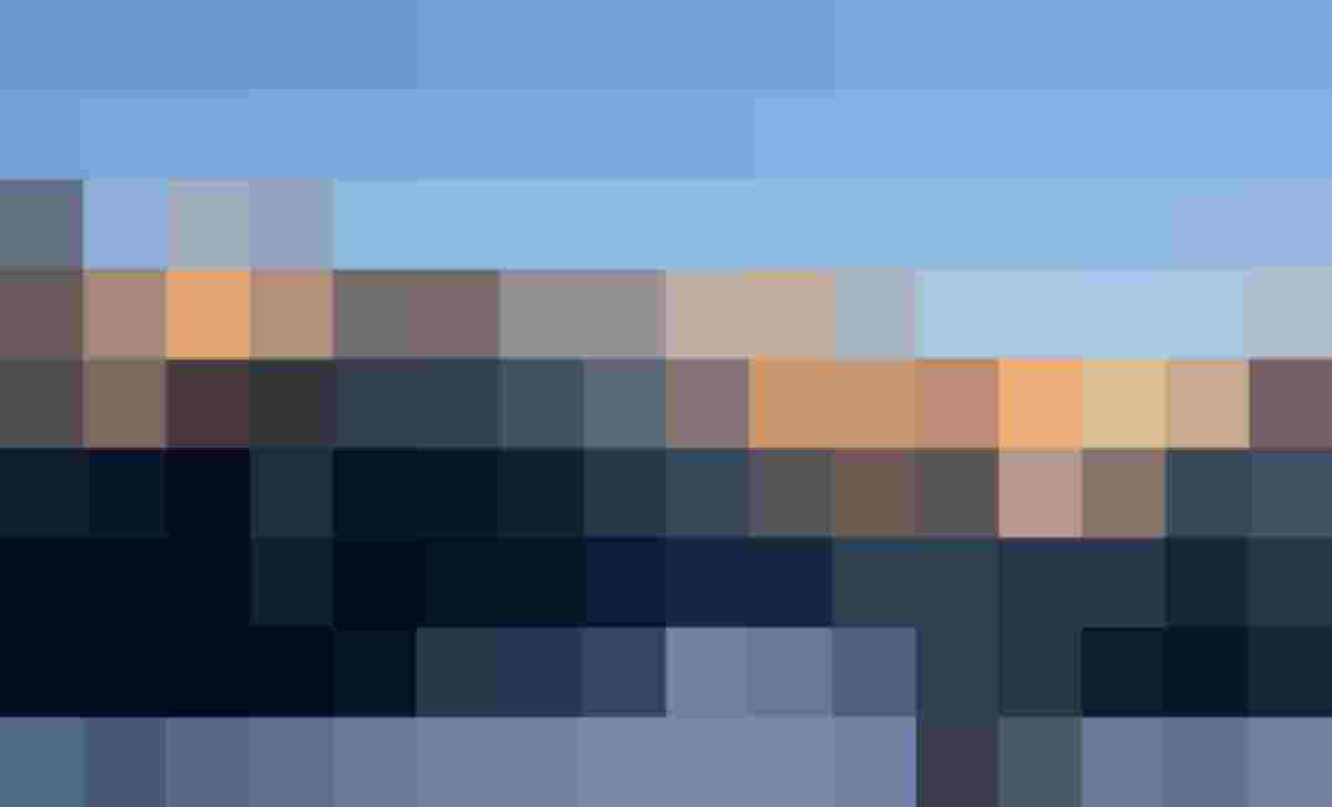 Hund auf verschneitem Hang mit Blick auf sonnenbeschienene Bergkette über Nebelmeer